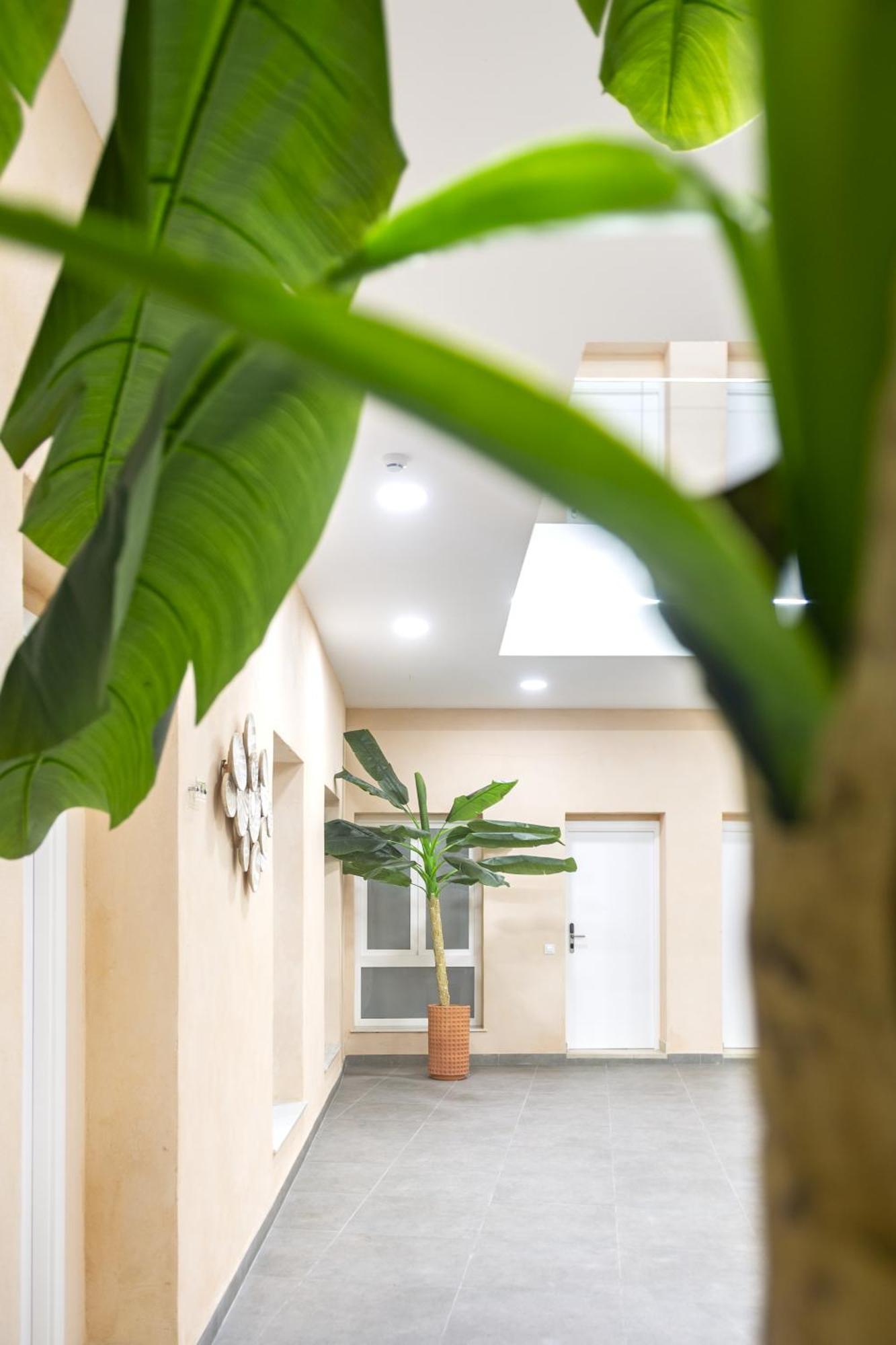 Apartamentos La Tahona Cádiz Buitenkant foto